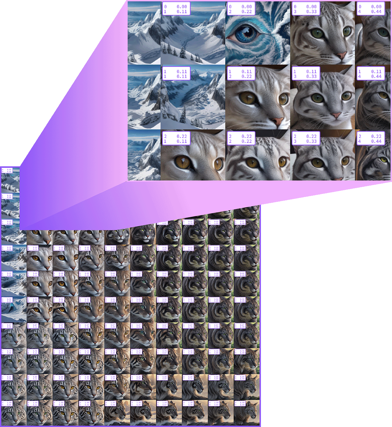 Beschreibung